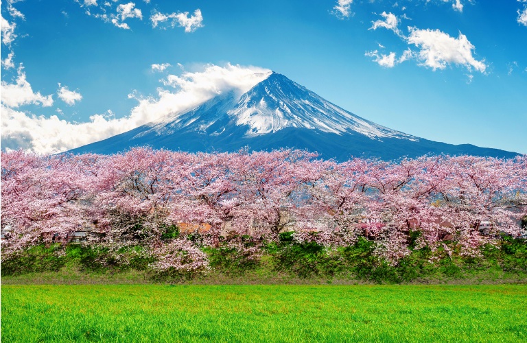 4月（卯月・うづき）日本の行事と二十四節句を楽しもう！歴史と魅力を解説